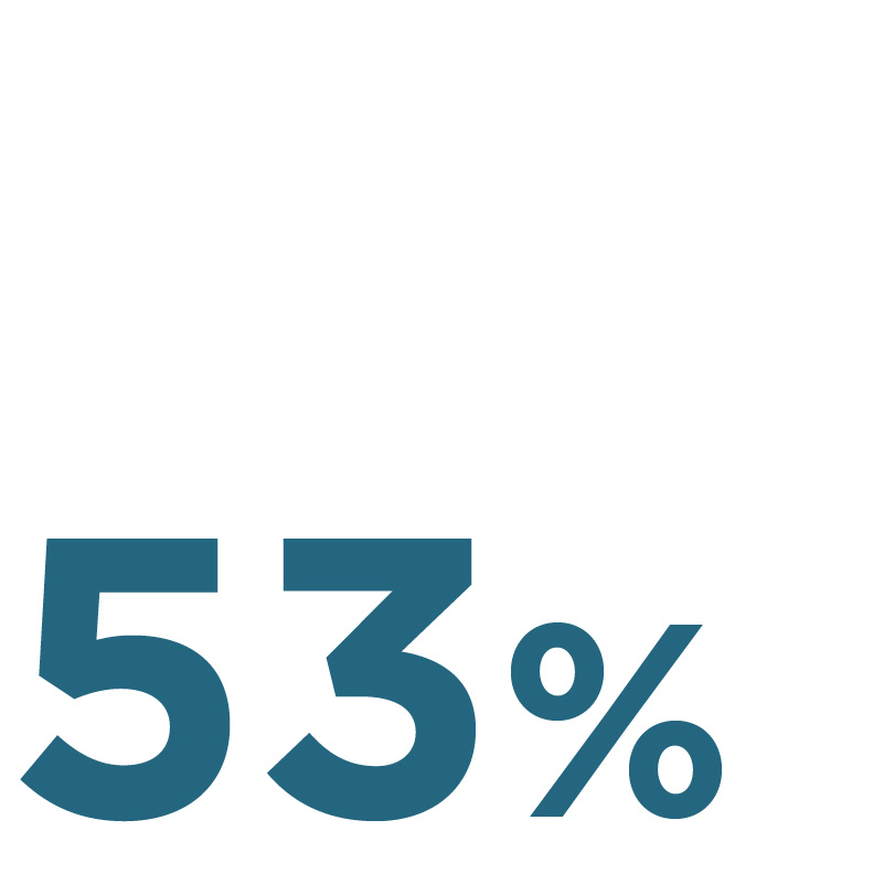 53%
