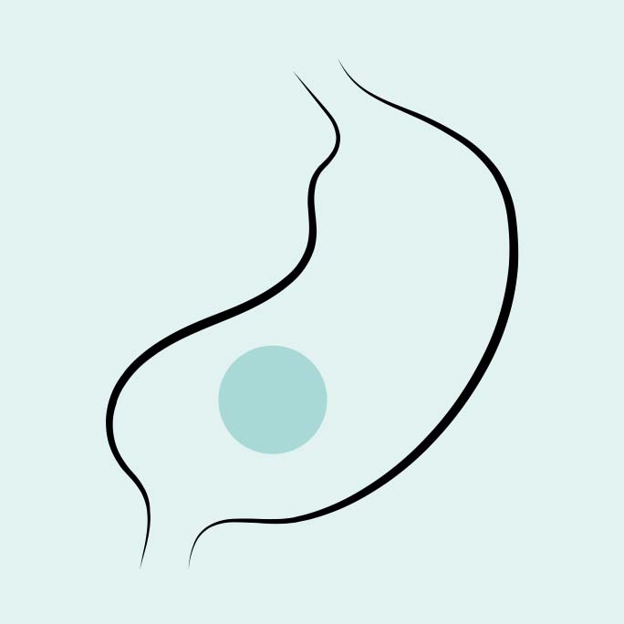 Matsmältningssystemet